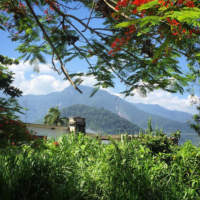 Afternoon walk in our tropical hideaway...