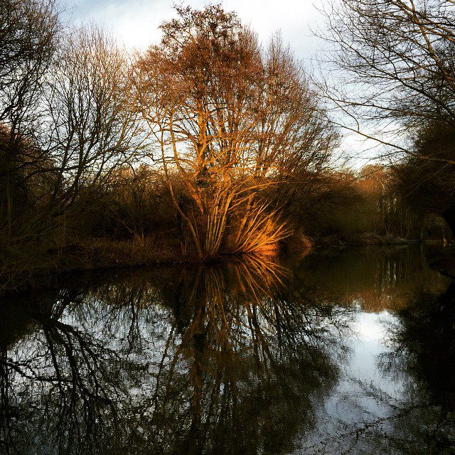 When you're landlocked without waves you've got to make the best of what is on your doorstep. Early spring paddle along the Stort. #sup #standuppaddle