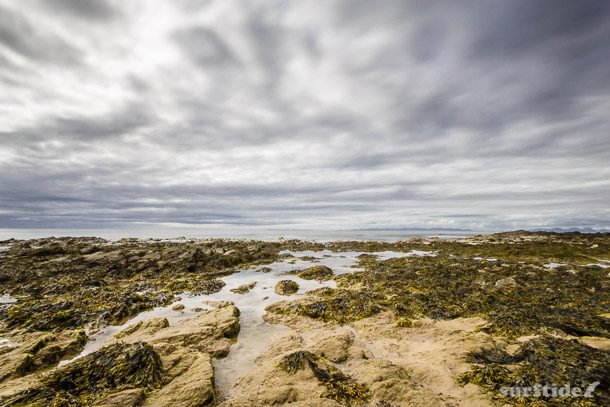 wpid-Rock-pools-at-Westport-Beach-12072015-01.jpg