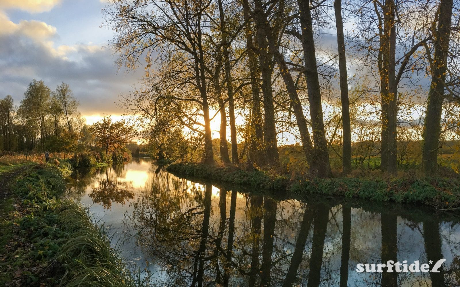 Sunlight and trees reflecting on the still water at sunset on the River Stort in Hertfordshire